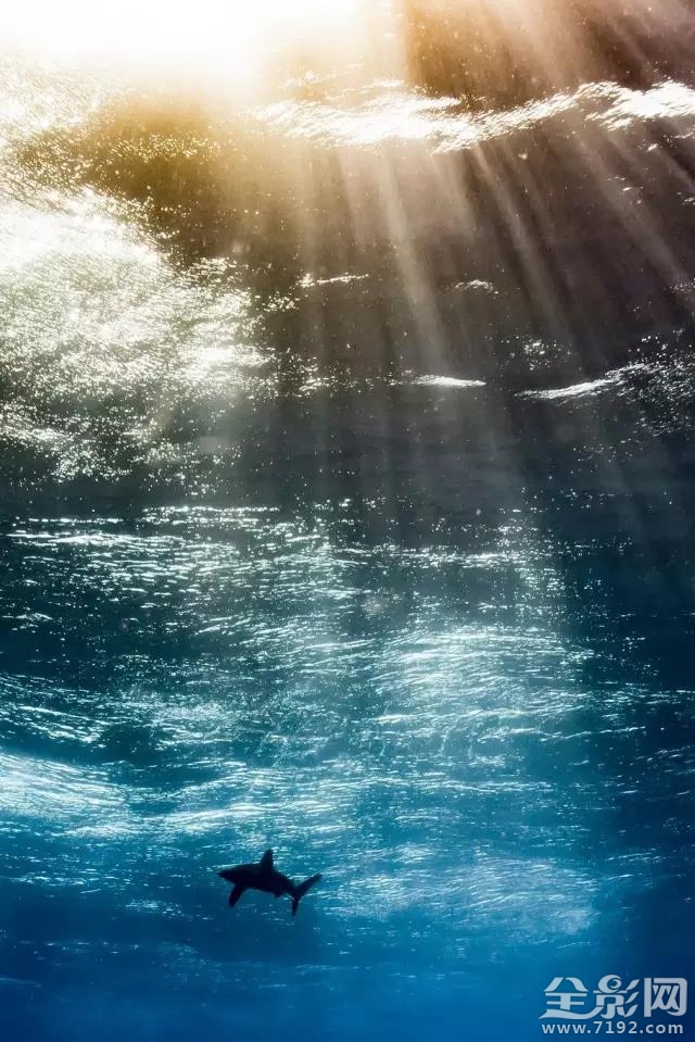 地平线以下是什么 地平线以下的国家