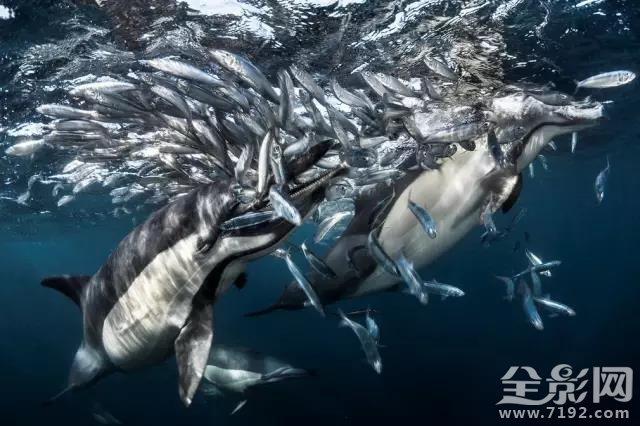 地平线以下是什么 地平线以下的国家