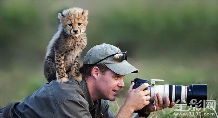 野生动物摄影师的艰辛 野生动物摄影大师