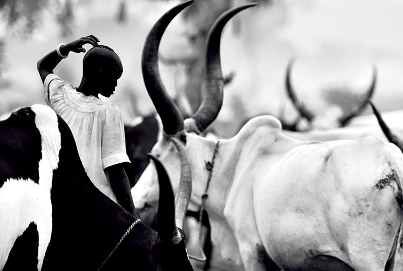 广告摄影大师 广告片摄影师图1