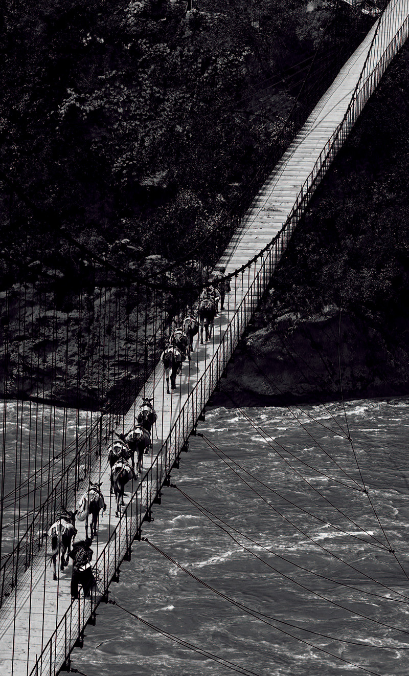 广告摄影大师 广告片摄影师图2