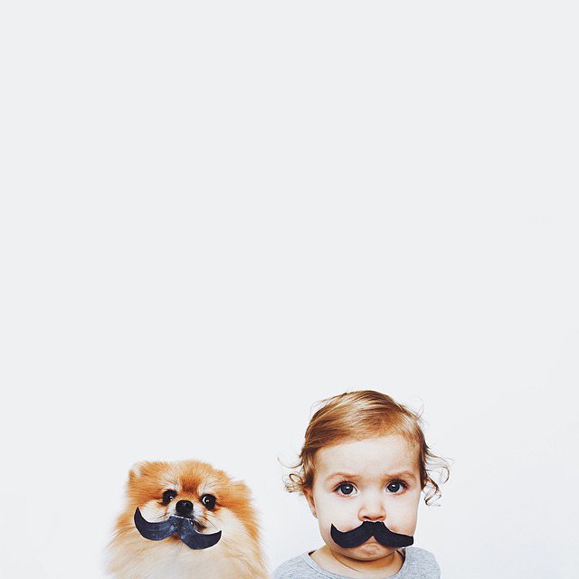 情侣宝宝和宠物冲突么 宝宝与宠物合照图片图3