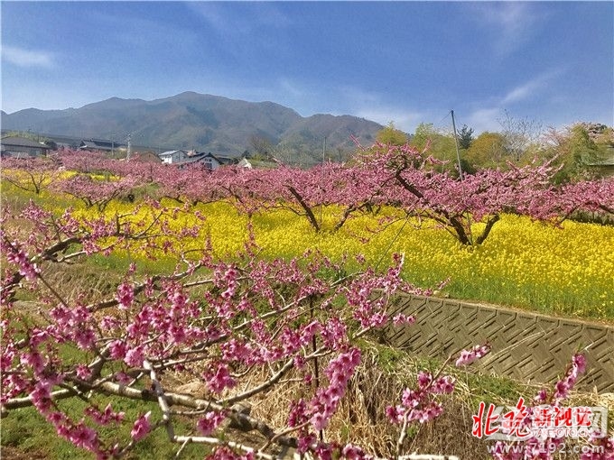 从菜鸟到摄影师,你需要做什么准备 摄影小白到摄影师需要多长时间-