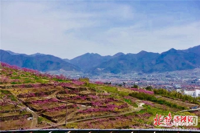 从菜鸟到摄影师,你需要做什么准备 摄影小白到摄影师需要多长时间-