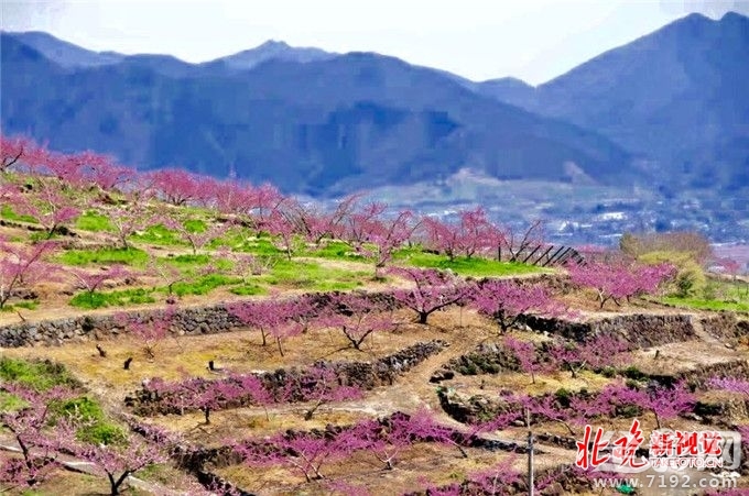 从菜鸟到摄影师,你需要做什么准备 摄影小白到摄影师需要多长时间-