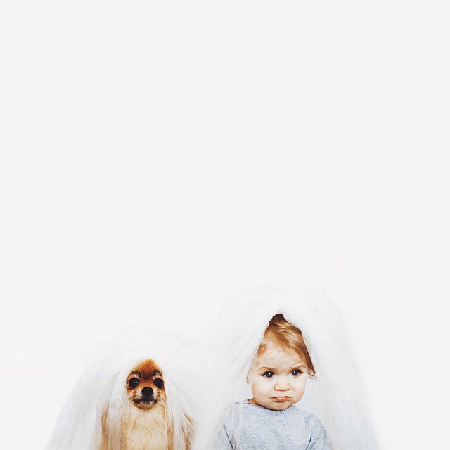 情侣宝宝和宠物冲突么 宝宝与宠物合照图片