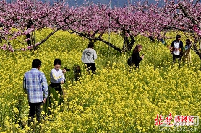 从菜鸟到摄影师,你需要做什么准备 摄影小白到摄影师需要多长时间-