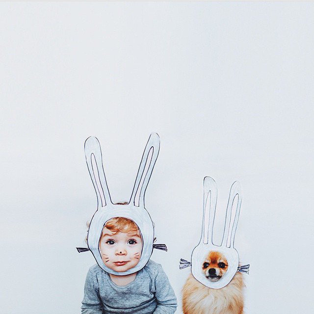 情侣宝宝和宠物冲突么 宝宝与宠物合照图片