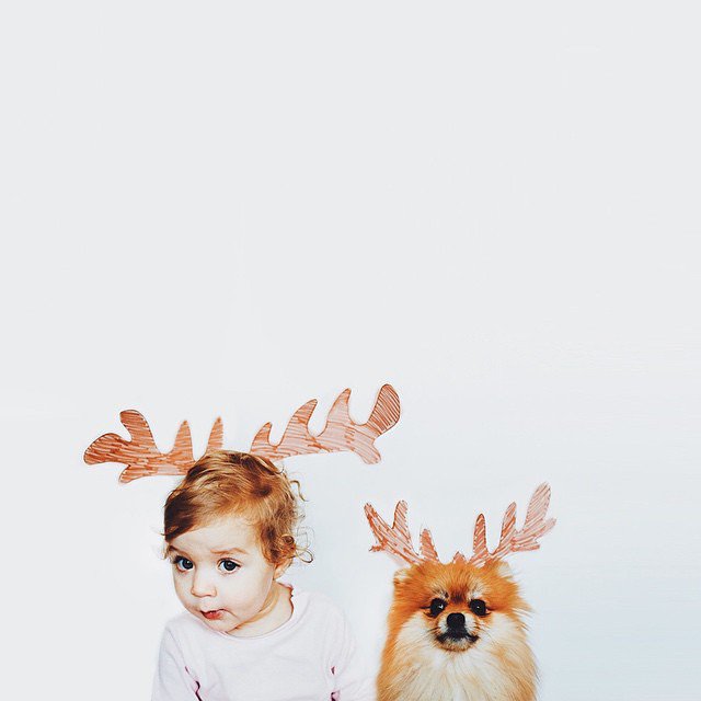 情侣宝宝和宠物冲突么 宝宝与宠物合照图片