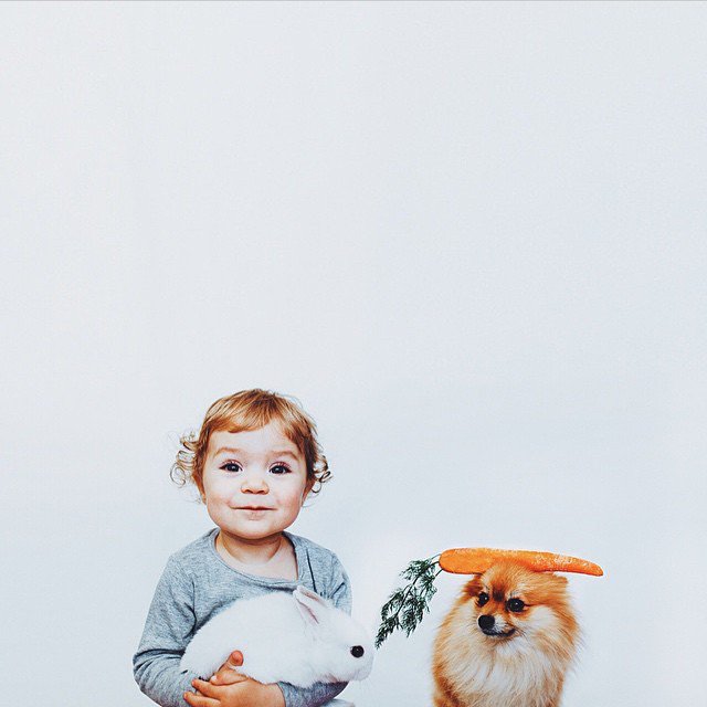 情侣宝宝和宠物冲突么 宝宝与宠物合照图片