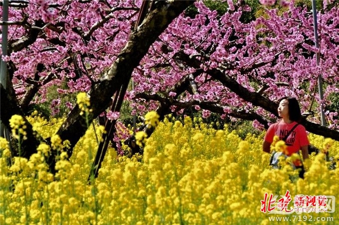 从菜鸟到摄影师,你需要做什么准备 摄影小白到摄影师需要多长时间-