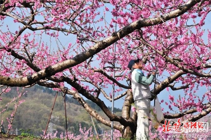 从菜鸟到摄影师,你需要做什么准备 摄影小白到摄影师需要多长时间-