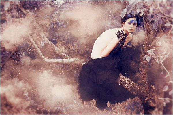 梦幻之境主题 幻梦之境攻略