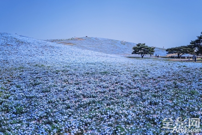 俄罗斯摄影家作品 俄罗斯摄影师创意摄影照片图3