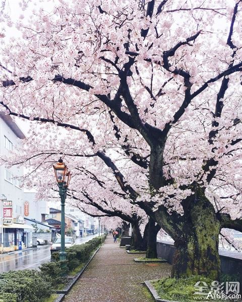 俄罗斯摄影家作品 俄罗斯摄影师创意摄影照片