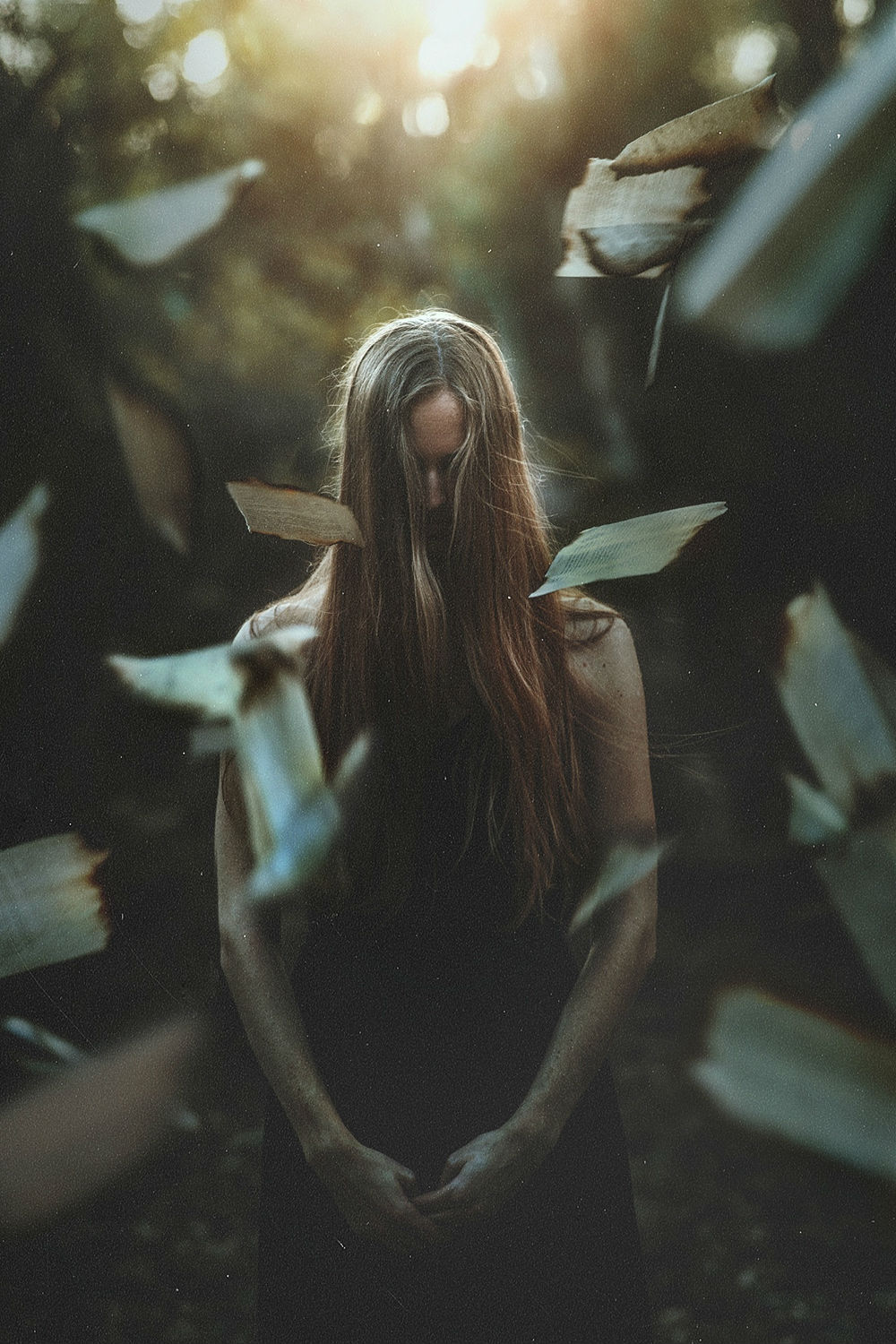 摄影无非是另一种讲故事的方式英语 摄影是另一种阅读