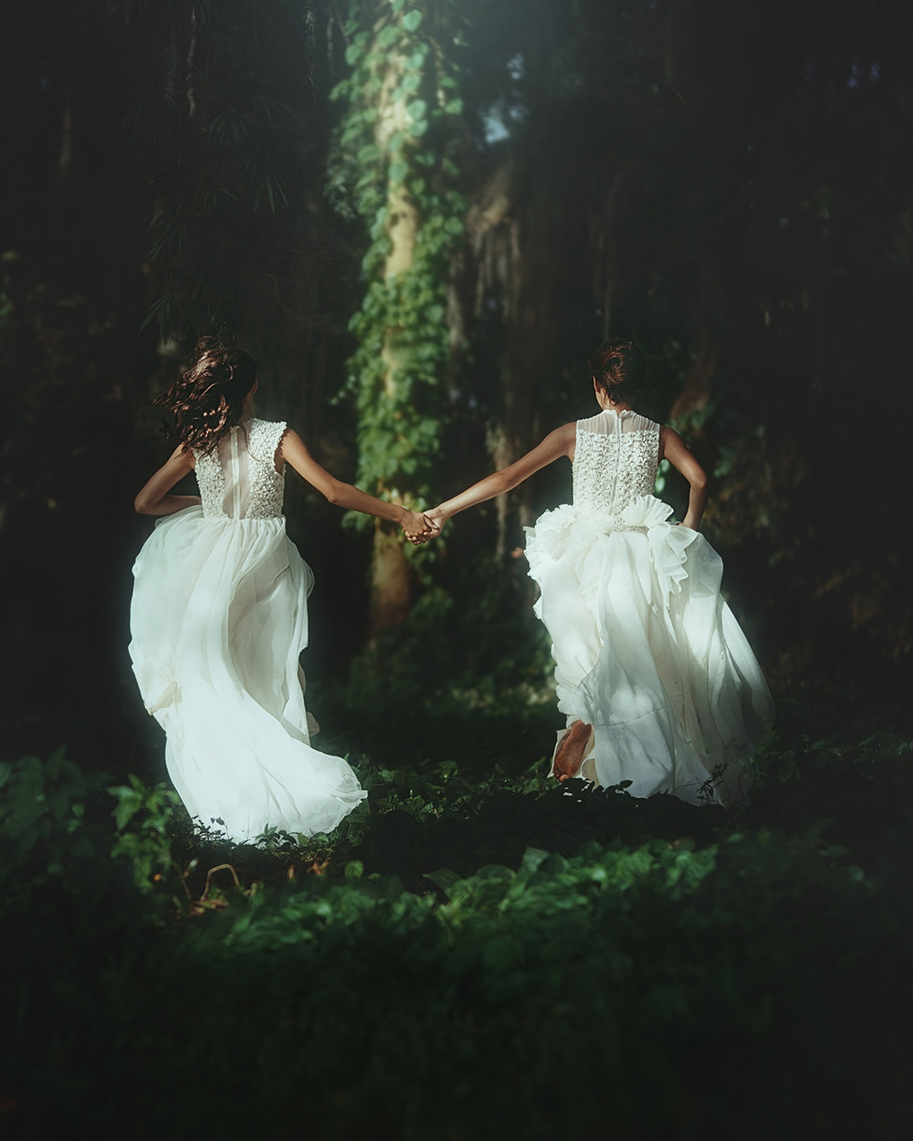 摄影无非是另一种讲故事的方式英语 摄影是另一种阅读