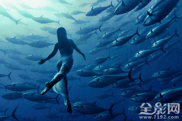 日本水族馆金枪鱼撞死 日本钓金枪鱼纪录片