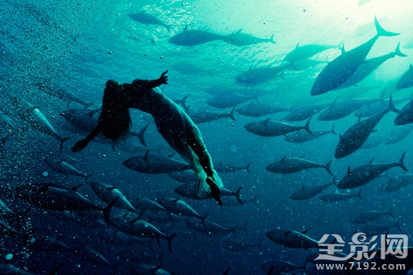 日本水族馆金枪鱼撞死 日本钓金枪鱼纪录片