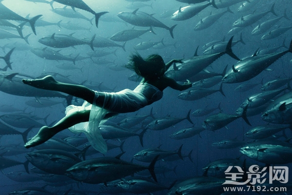 日本水族馆金枪鱼撞死 日本钓金枪鱼纪录片