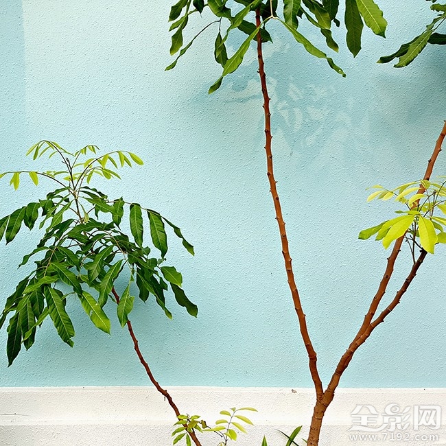 把生活拍成诗,一台手机就够了的说说 把生活拍成电影歌词图1