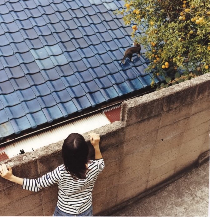 大岛优子哪年毕业 大岛优子毕业演唱会