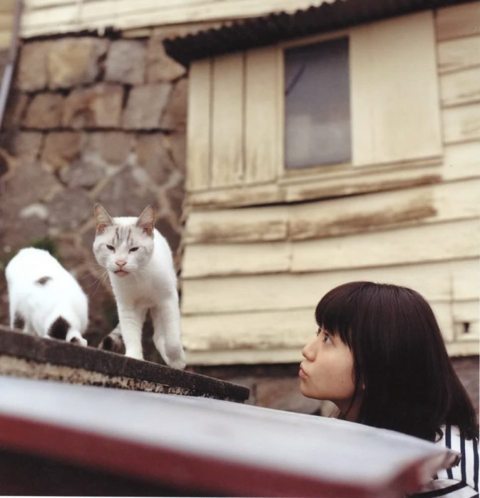 大岛优子哪年毕业 大岛优子毕业演唱会