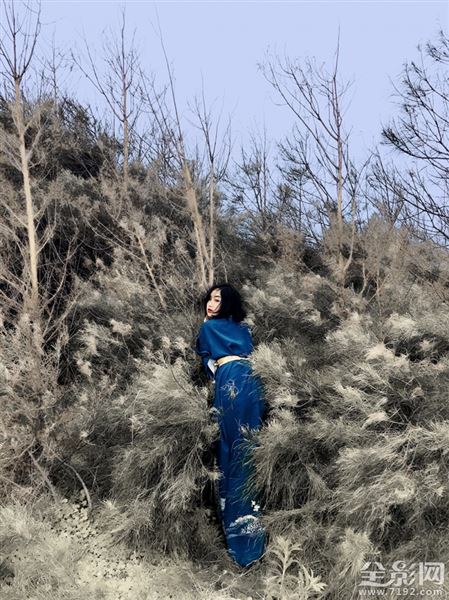 野百合叫什么名字 野百合象征着什么意思图1