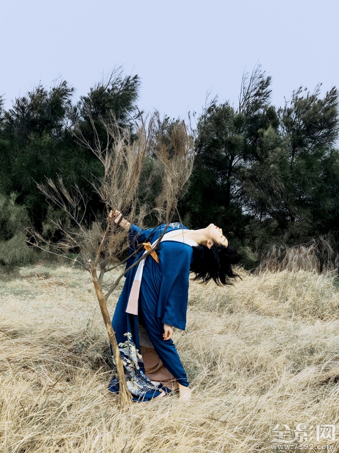 野百合叫什么名字 野百合象征着什么意思图3