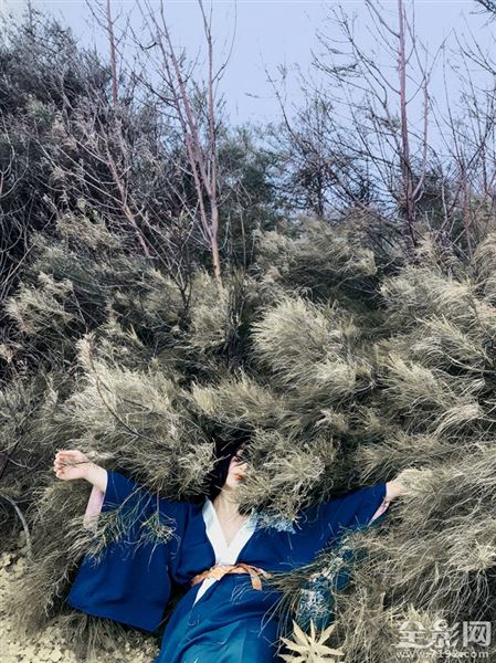 野百合叫什么名字 野百合象征着什么意思