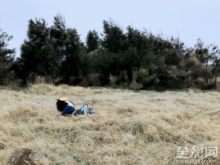 野百合叫什么名字 野百合象征着什么意思