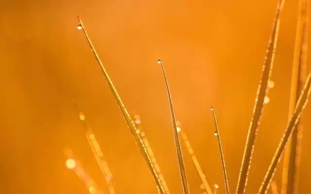 如何拍好一张极简风格作品视频 如何拍出极简风格图片