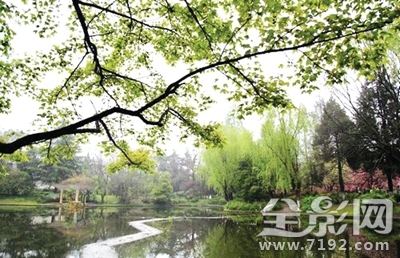 花动一山春色所描绘的情景 花动一山春色的翻译