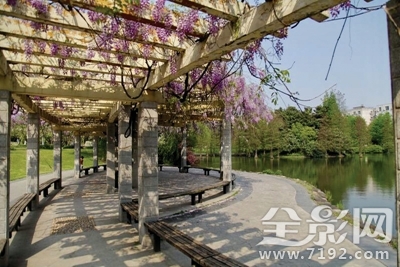 花动一山春色所描绘的情景 花动一山春色的翻译