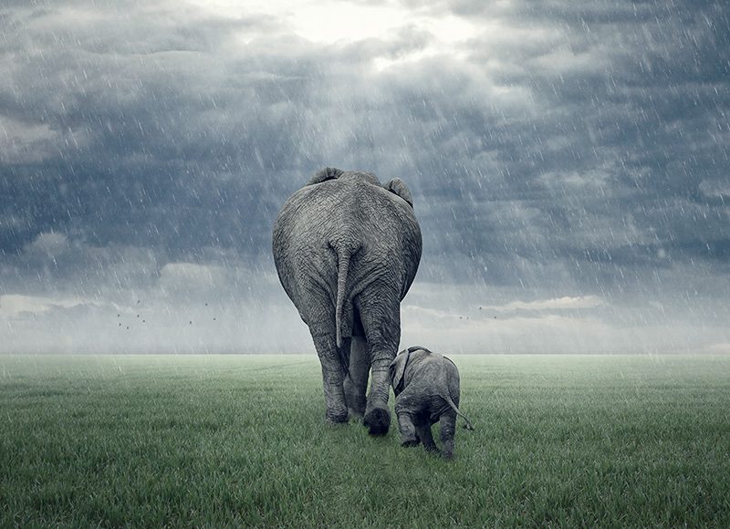 制作穿透云层的光线是什么 穿透云层的光线叫什么