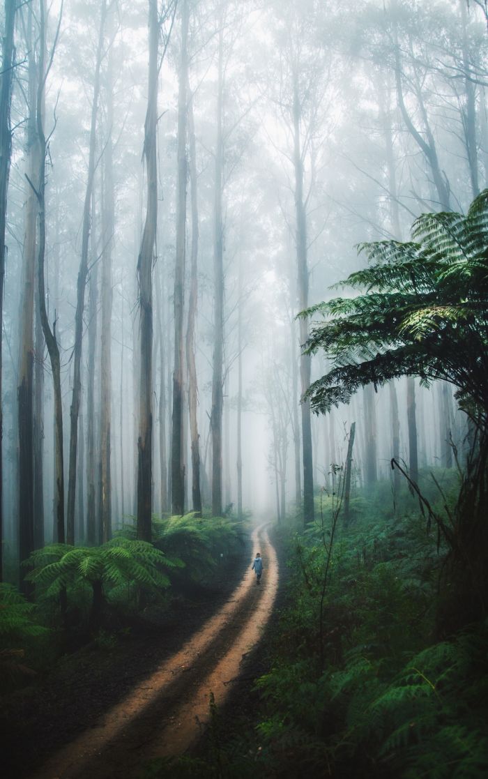 渺小的世界有大大的梦想 世界之大我们渺小句子