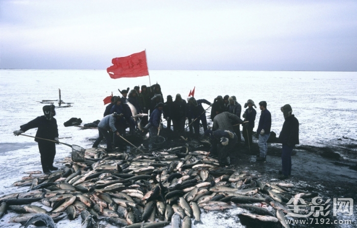 80年代的纯净影像是什么 80年代珍贵影像图3