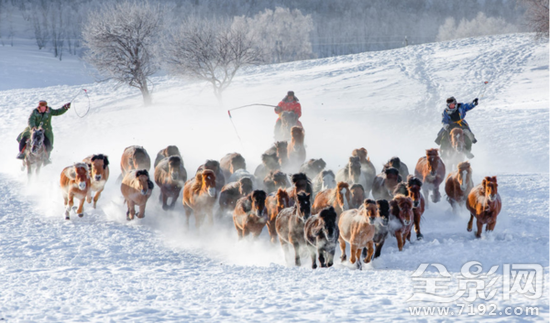 原来摄影的立体感可以这样打造出来吗 立体摄影的原理
