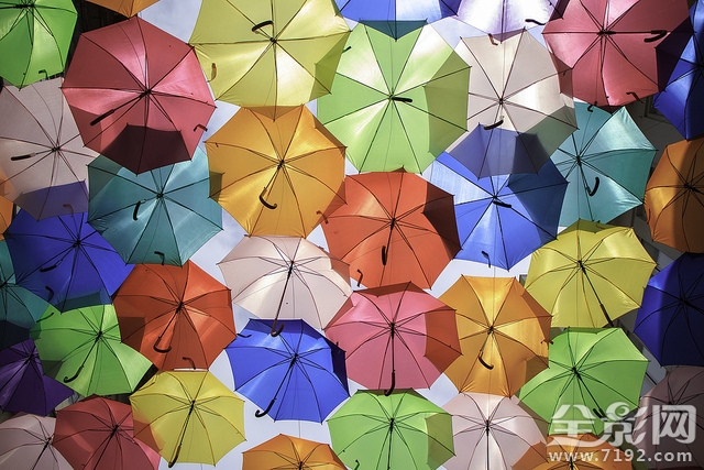 一把伞成就一幅优秀作品图片 一把 伞