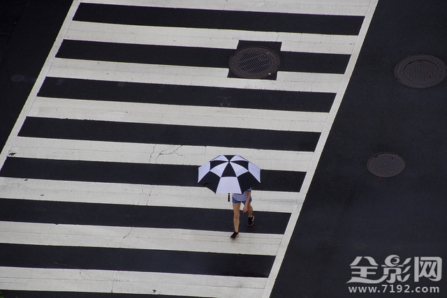 一把伞成就一幅优秀作品图片 一把 伞