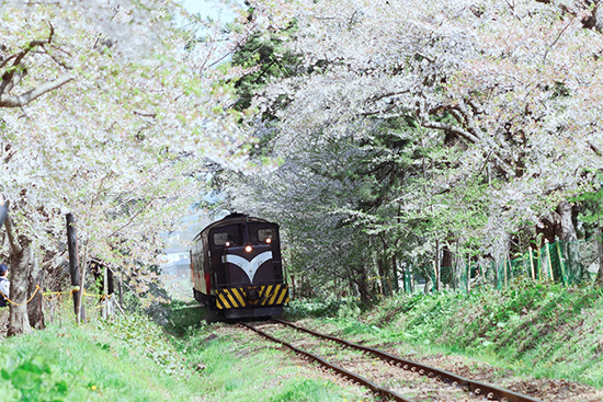 闪迪至尊极速移动存储卡 闪迪固态移动硬盘测评图1