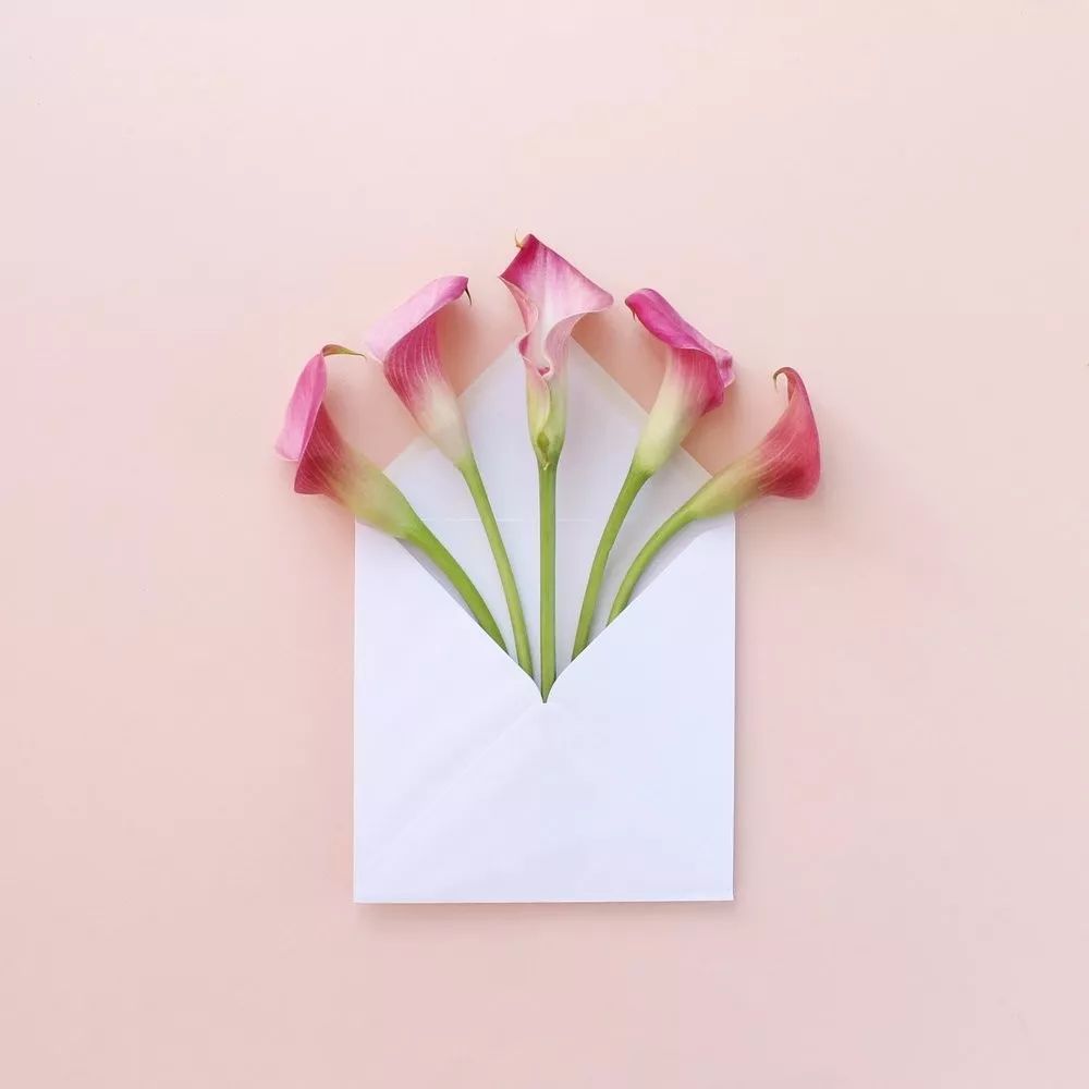 色彩强调图片 色彩强弱感图片