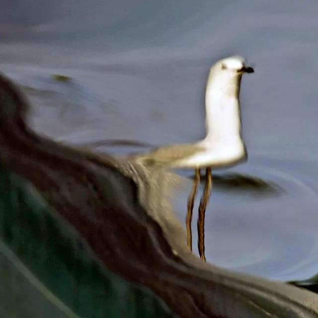 抽象摄影技巧 抽象 摄影图2