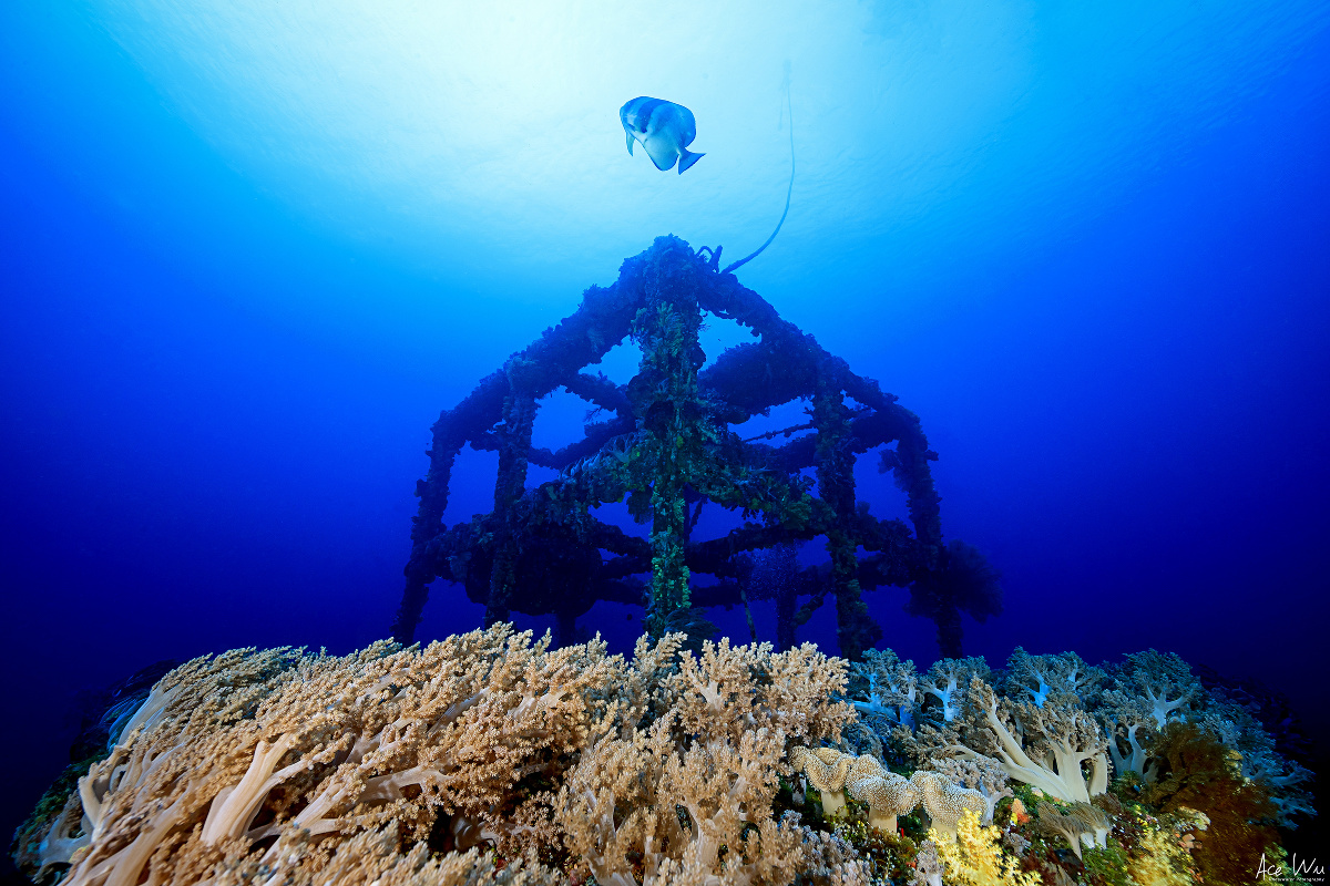 小多带你去海底 带你去海底世界图1