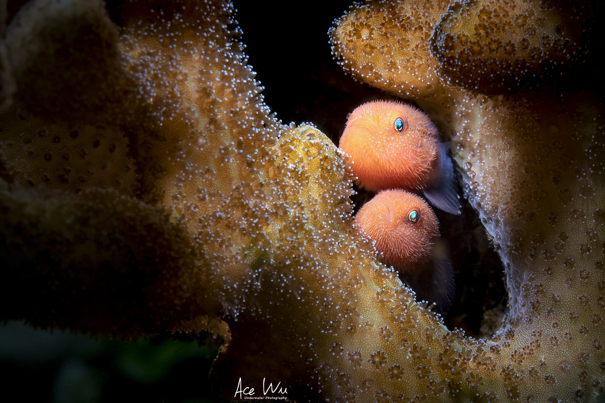 小多带你去海底 带你去海底世界