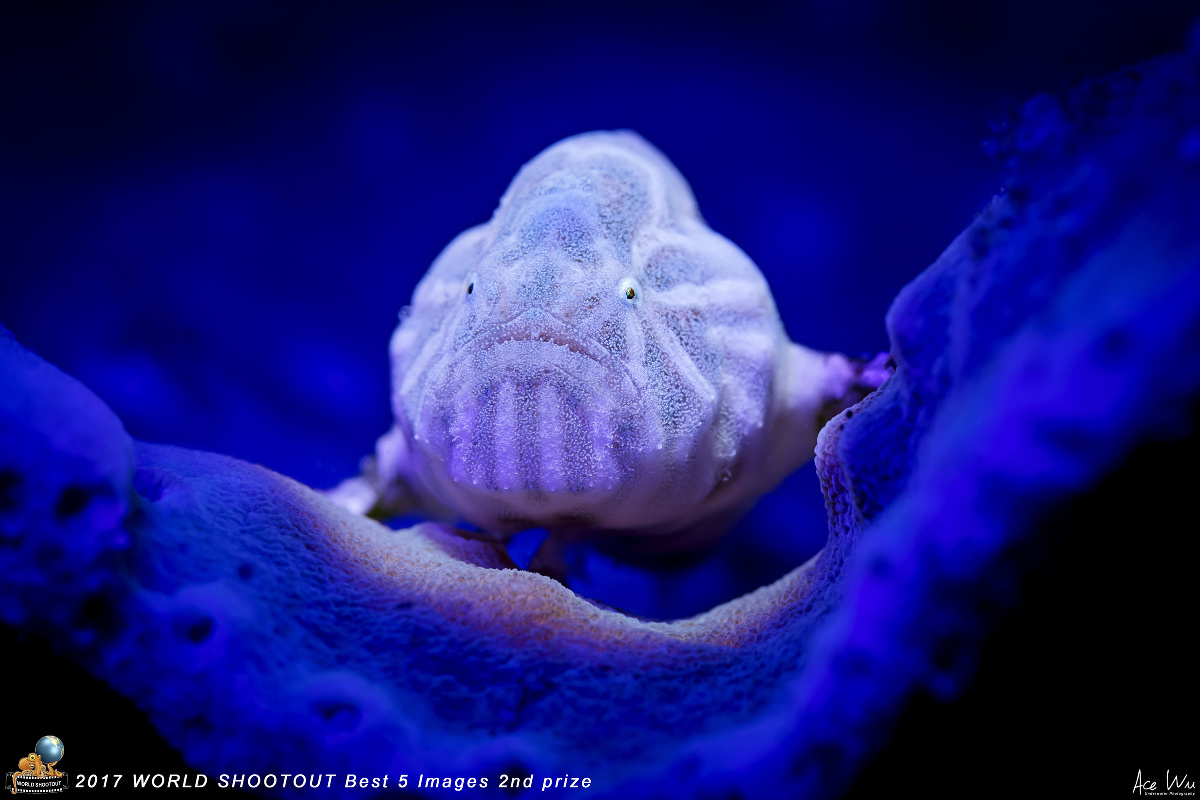 小多带你去海底 带你去海底世界