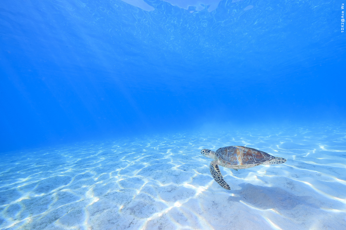 小多带你去海底 带你去海底世界