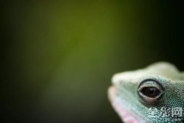 如何选择镜头,即需要注意哪些问题- 选镜头注意图2