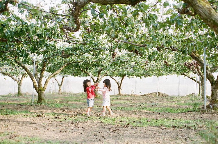 都说生女儿好 生女儿的都是有福气的