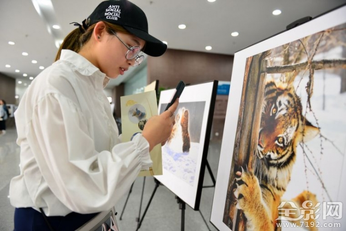 蒙古族人物摄影 蒙古族婚纱摄影